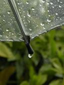 grp0620103443.jpg 128170 4K
