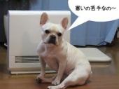 grp1029195554.jpg 170127 6K