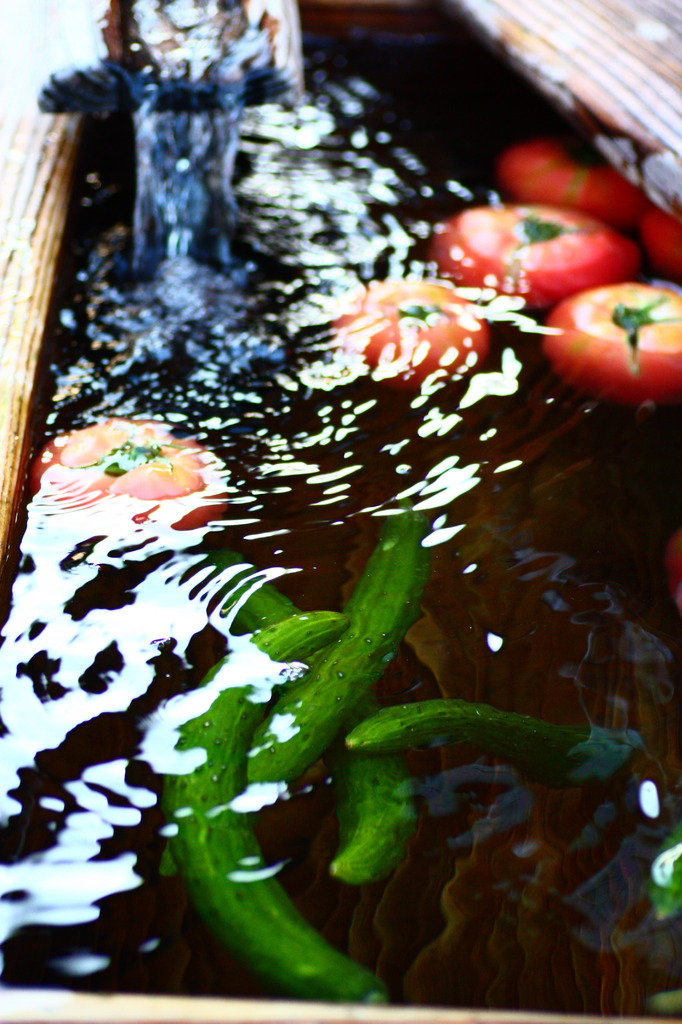 natuyasai.jpg 682×1024 211K natuyasai.jpg 682×1024 211K